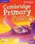 Cambridge Primary Path Level 4 Activity Book with Practice Extra: Vol. 4