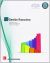 GESTION FINANCIERA GS