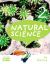 Natural Science 2. In focus.