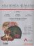 Atlas De Anatomia Humana. Volumen III