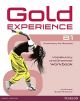 Gold Experience B1 Workbook