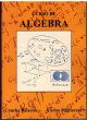 Curso de algebra