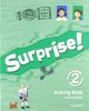 Surprise 2 activity book