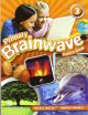 BRAINWAVE 3 Pb