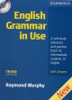 English grammar in use Third edition