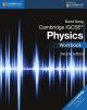 Cambridge IGCSE physics. Workbook.