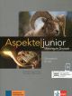 Aspekte junior b1+, libro de ejercicios