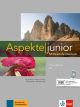 Aspekte junior b2, libro de ejercicios con audio online