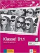 Klasse! b1.1 libro de ejercicios + online