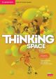 Thinking Space B2+ Workbook