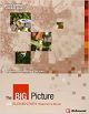 The Big Picture A2 Elementary Teacher´S Book Richmond