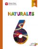 Naturales 6 Madrid (aula Activa)