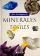 Minerales y fósiles