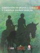 Conduccion de grupo a caballo y cuidado equinos