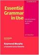 Essential grammar in use = Gramática básica de la lengua inglesa