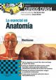 Lo esencial en Anatomía + Studentconsult en español