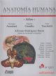 Atlas De Anatomia Humana. Volumen III